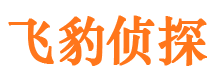 通榆市侦探调查公司